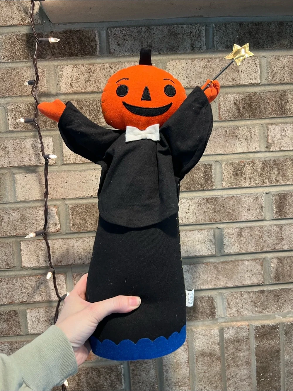 Hyde & Eek Target Halloween PUMPKIN WIZARD